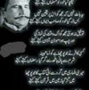 Rafe Shah